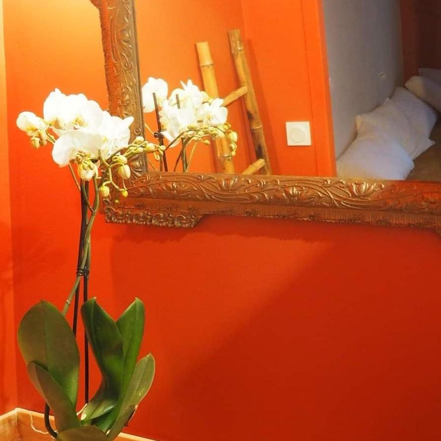 La Terrasse Vigneronne Bed & Breakfast Fitou Bagian luar foto